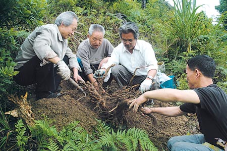 根雕艺术家--余方来