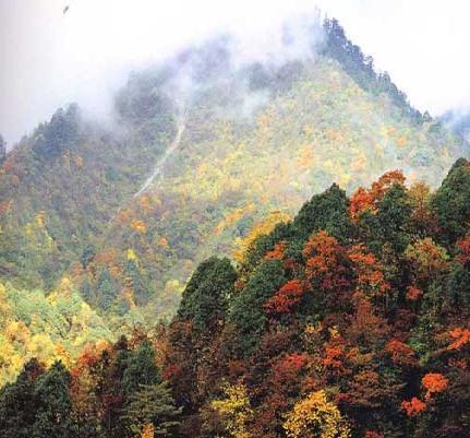 最美的山是哪座山 10565593_601159.jpg