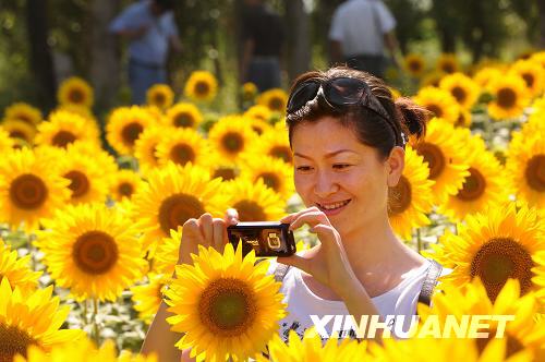 �й�Ͷ��30�ڸ���˿·���ǿ�ʲ