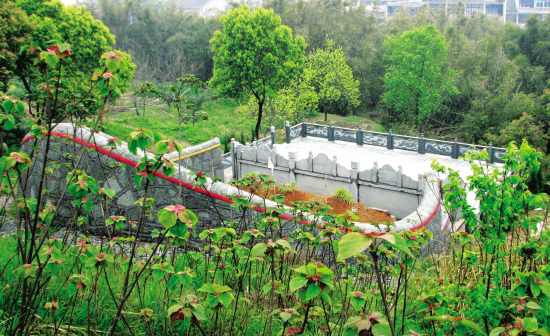 临海新闻网 新闻中心 周边县市新闻      有网友反映,温峤镇的玉龙山