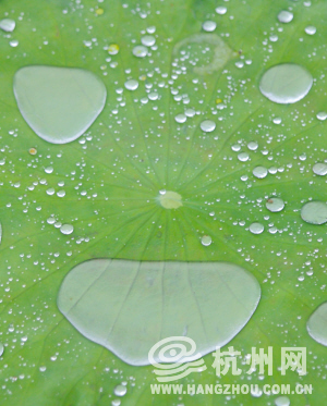 什么时候天气开始凉快 11688348_641184.jpg