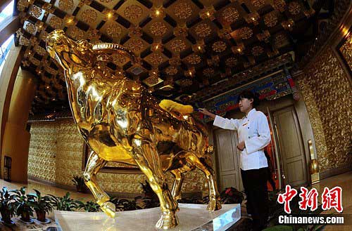 ��������ǻ�Ӧ�Ÿ����� ���ý�ţ��ΪͶ�ʱ�ֵ