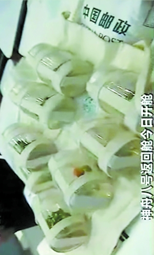 ����ˡ����زտ��� ǮѧɭФ��̫�չ���(ͼ)